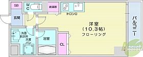 北海道札幌市北区北八条西4丁目（賃貸マンション1R・8階・30.80㎡） その2