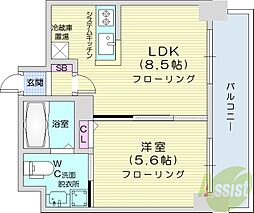 TEADA北4条 1LDKの間取図画像