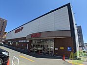 東光ストア西線6条店 668m