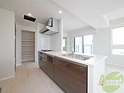 洗い場が大きくて洗い物もしやすそうです。