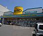 周辺：ダックス 衣笠店まで150m 駐車場あり 大型店舗ですよ