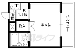コットンハウス95 3階/302