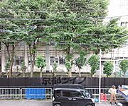 バルコニーからの風景です
