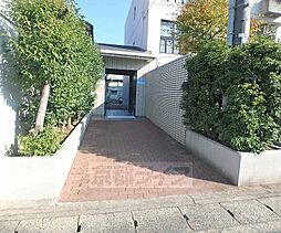 7 / 28