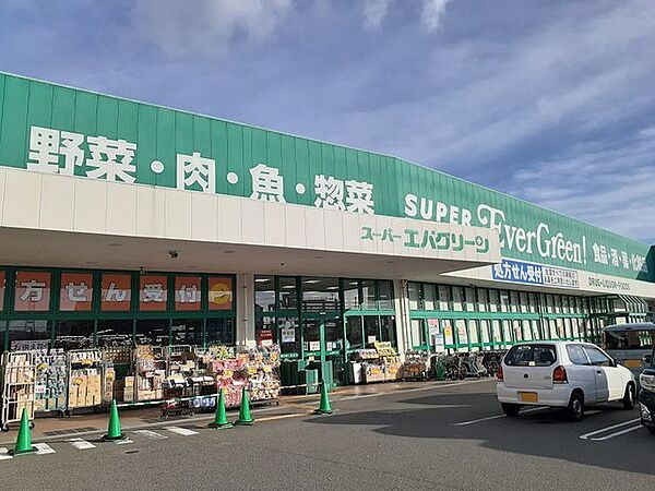 画像28:スーパー「エバグリーン福島店様まで1300m」
