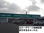 スーパー「エバーグリーン様まで950m」