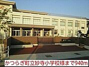小学校「かつらぎ町立妙寺小学校様まで940m」