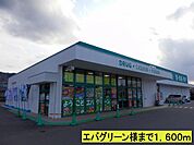 ドラッグストア 「エバグリーン様までまで1600m」