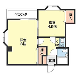 ロイヤルコーポ琴の浦 3階/3I