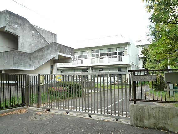 横浜市立新田小...