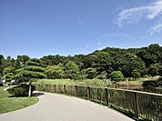 広大な敷地に広場、散策路の充実した公園。約300本の園内の桜は見ごたえがあります。