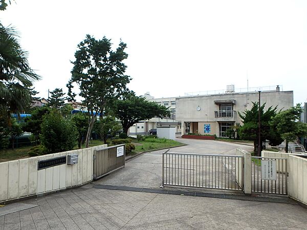 周辺を拡大表示
