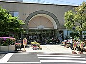 食料品の京急ストアはもちろん、ハックドラッグ・100円ショップ・クリーニング店・イレブンカット・生花店などが入ったショッピングモール。