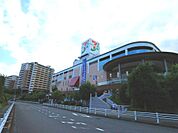 全国チェーンの大型スーパー。近隣の住人で賑わうお店となっています。