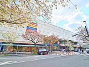 素敵なものに触れあえる場所として、毎日を彩る様々な専門ショップがあります。