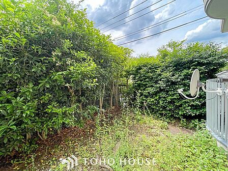 木々の緑がまぶしい、豊かな緑と静寂。ずっと見ていたいと思わせてくれる景色。