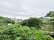 木々の緑がまぶしい、豊かな緑と静寂。ずっと見ていたいと思わせてくれる景色。