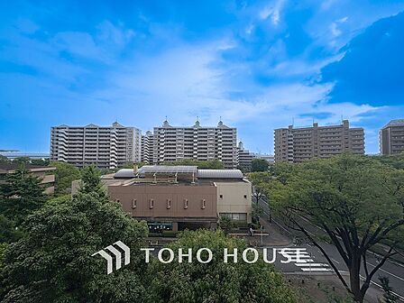 木々の緑がまぶしい、豊かな緑と静寂。ずっと見ていたいと思わせてくれる景色。