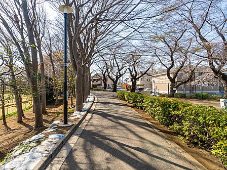 体育館とテニスコートと公園と野球場があります。春は桜が綺麗です。