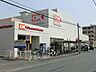 周辺：関東圏を中心にお手頃価格の良い商品を取り扱うと話題のお店。週末にまとめ買いもいいですね。