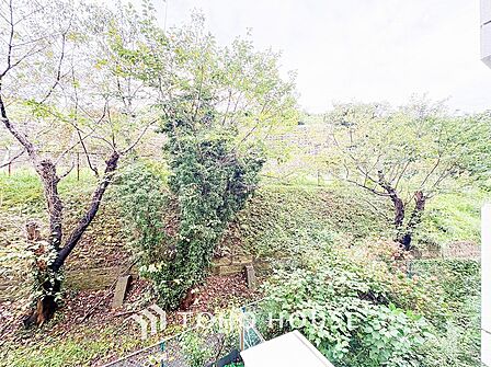 開放的で気持ちの良い眺望と青い空を満喫できます。
