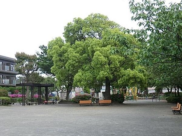 周辺を拡大表示