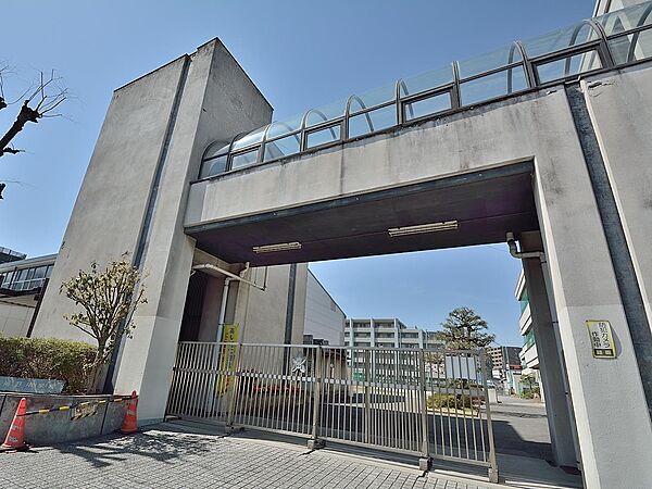 周辺を拡大表示
