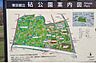 周辺：砧公園まで（290m）