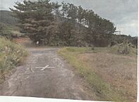 鹿児島県大島郡徳之島町井之川1636-2：物件画像