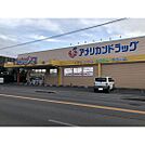 ドラックストア「アメリカンドラッグ丹波島店まで500ｍ」
