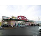 ドラックストア「クスリのアオキ大塚店まで1427ｍ」