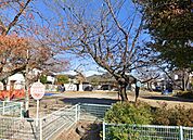 本町8丁目公園 り台、鉄棒、うんてい、砂場、動物置物、ベンチがあり公園デビューにもぴったりの大きさです♪（680m）