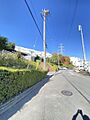 周辺は大小さま...