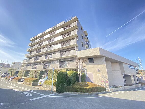 青空が広がり、...