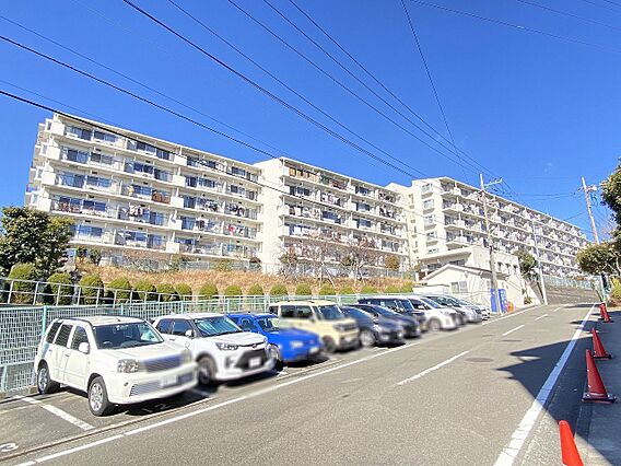 透き通る青空に...