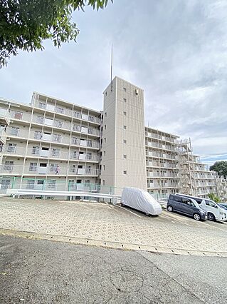 澄み渡る青空の...