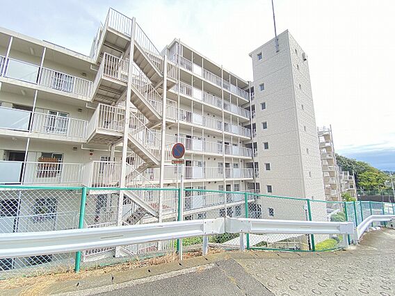 緑豊かな環境は...