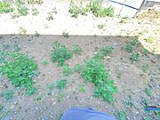 近隣は落ち着いた静かな環境。のんびりと生活していただけます。