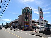 食品館あおばさがみ野店　240ｍ