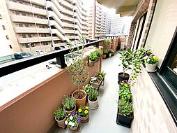 バルコニーの画像