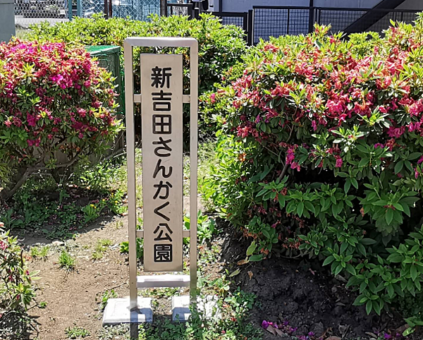 周辺を拡大表示