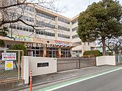 八幡中学校　602ｍ　八幡中学校 602ｍ(徒歩8分)