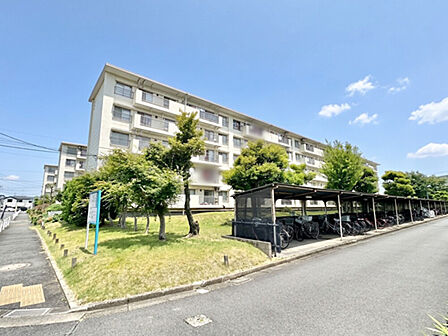 小 中学校、スーパーが徒歩10分圏内に揃い、毎日の通学やお買い物に便利な立地です。