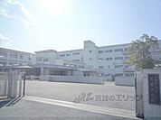 松原中学校まで1500メートル