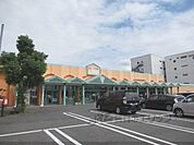 ジョイショッピングセンターまで500メートル
