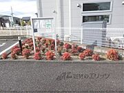植栽