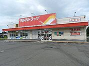 ツルハドラッグ白老店 910m