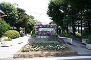 世田谷公園（810m）