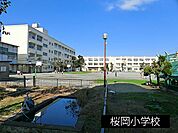 小学校 650m 桜岡小学校