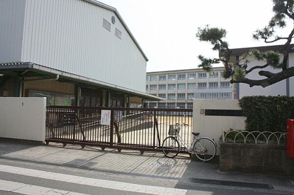 画像30:【小学校】堺市立 鳳小学校まで201ｍ